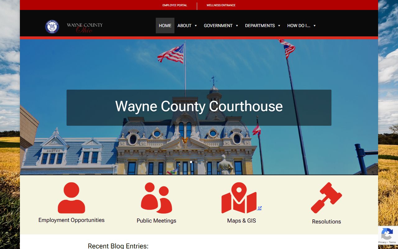 Wayne County government released inmates records
